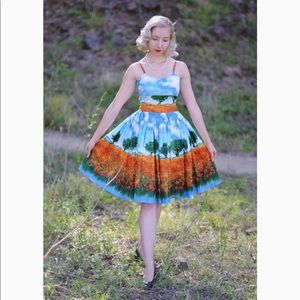 Bernie Dexter Chelsea Dress Poppy Field XS